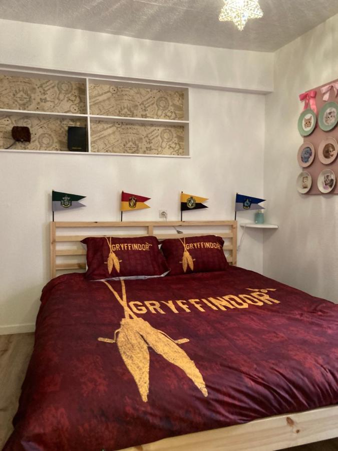 Apartamento  Harry Potter   décors, centre historique Dijon Exterior foto