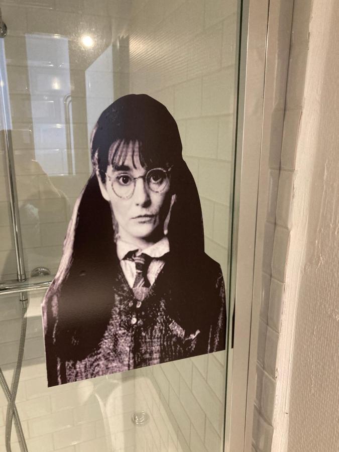 Apartamento  Harry Potter   décors, centre historique Dijon Exterior foto