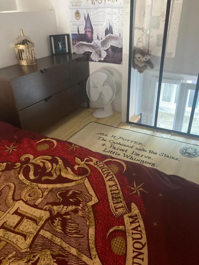 Apartamento  Harry Potter   décors, centre historique Dijon Exterior foto